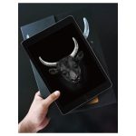 Miếng Dán Cường Lực iPad