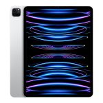 ipad pro 12.9 m2 2022 silver