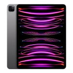 ipad pro 12.9 m2 2022 space gray