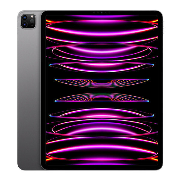 ipad pro 12.9 m2 2022 space gray