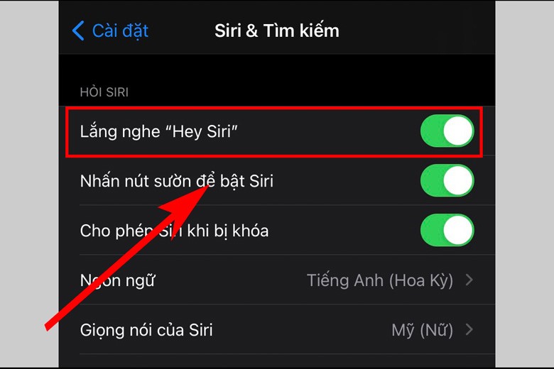 Cách bật và sử dụng Siri trên iPhone, iPad như thế nào?