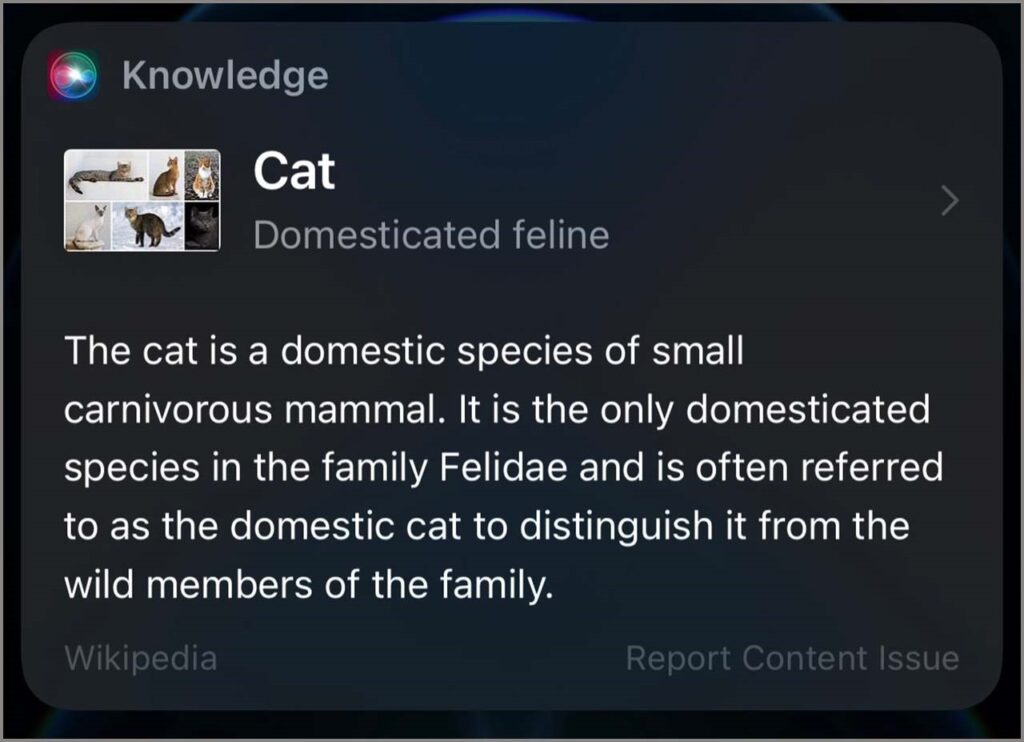 Siri có thể làm được những gì? Những tính năng nổi bật?