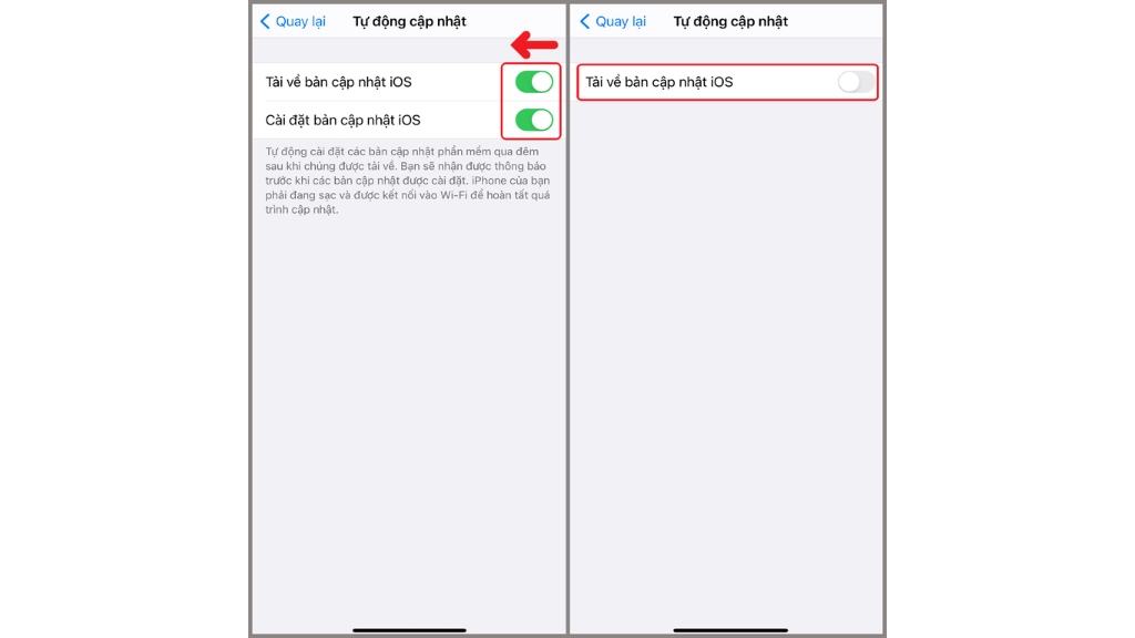 Tắt cập nhật tự động trên ip